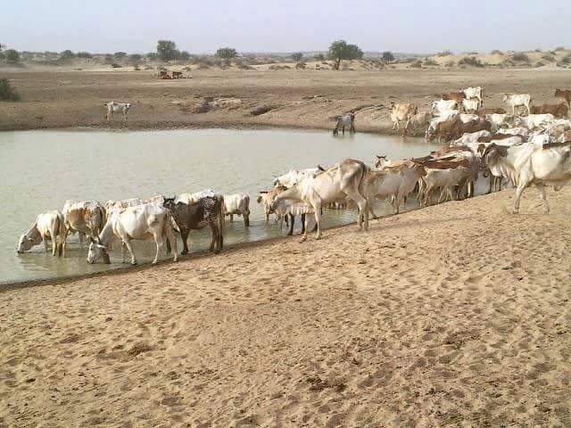 Faqeera Bhagat - #فقیرا_بھگت مرحوم کی ایک نایاب تصویر ۔ کانو رام پنوار ...