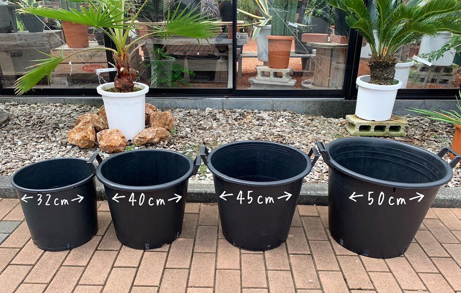 イタリア製#ナーセリーポット 大きめサイズ揃っております。 生産者 
