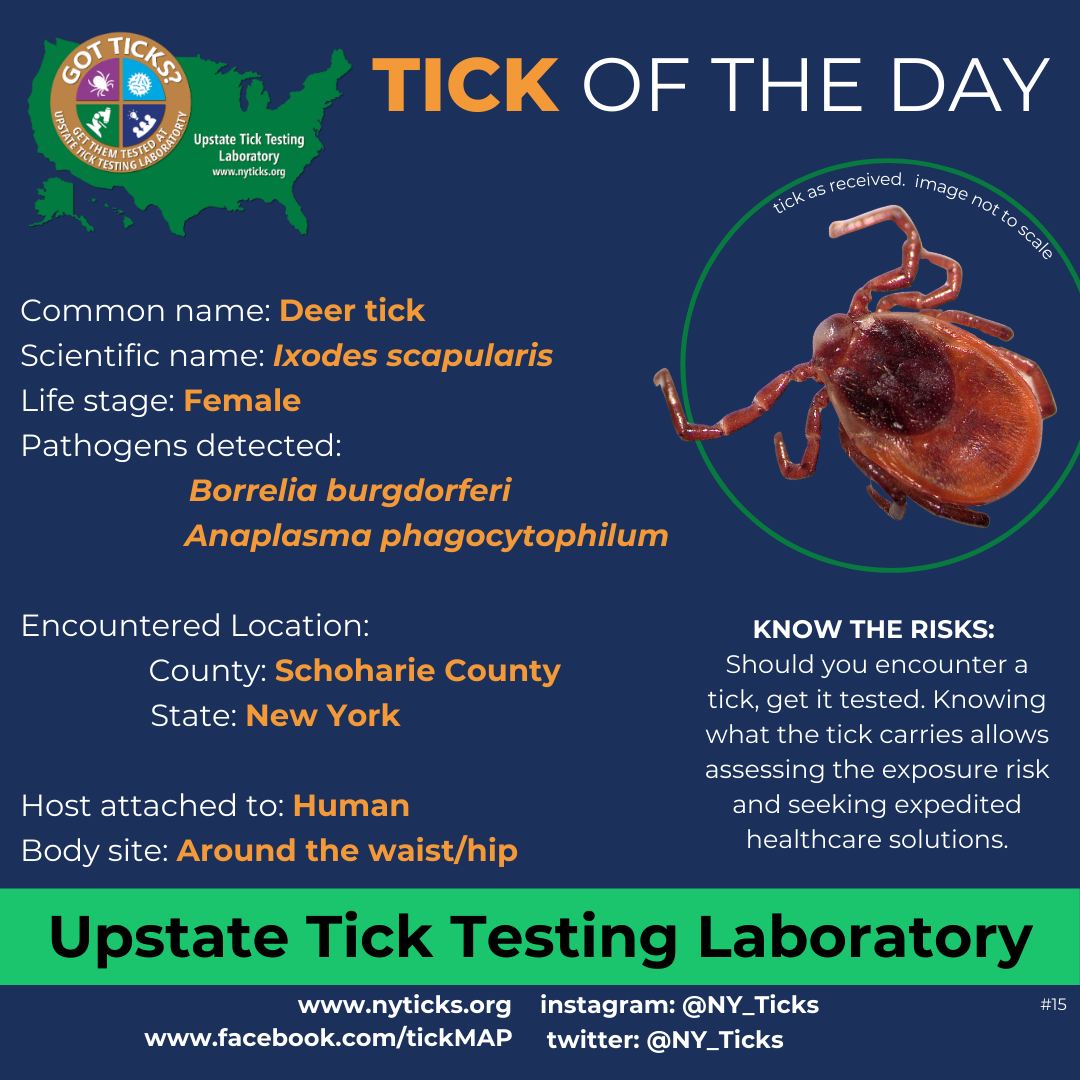Upstate Tick Lab