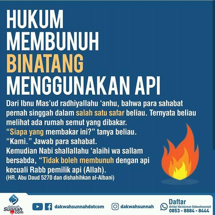 Berani Hijrah - Tidak boleh membunuh hewan dengan api... | Facebook