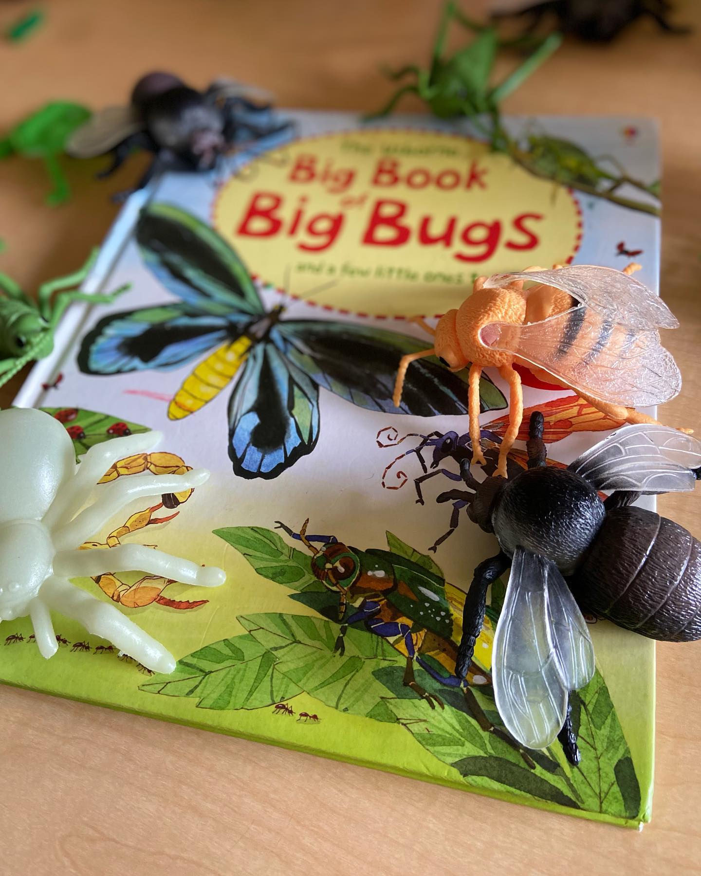 We ended our bug week with... - Little Steps Family Childcare