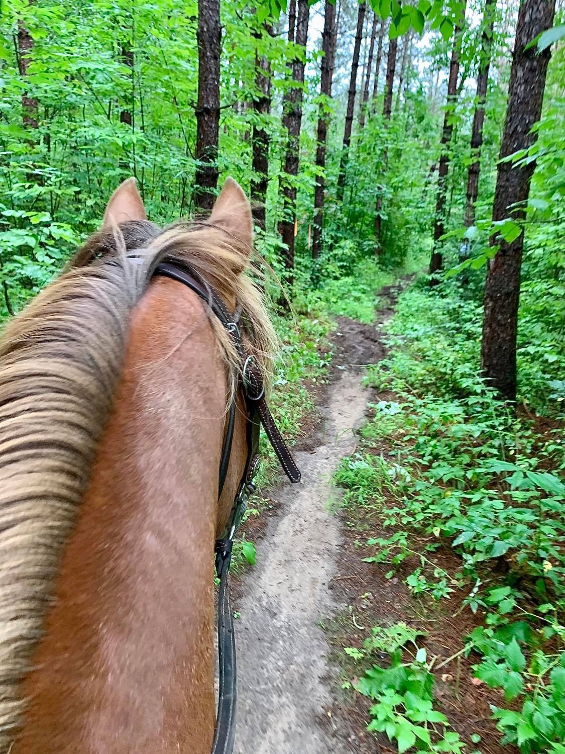 Triple R Riding Club, Inc. - Happy Monday! Various club members visited ...
