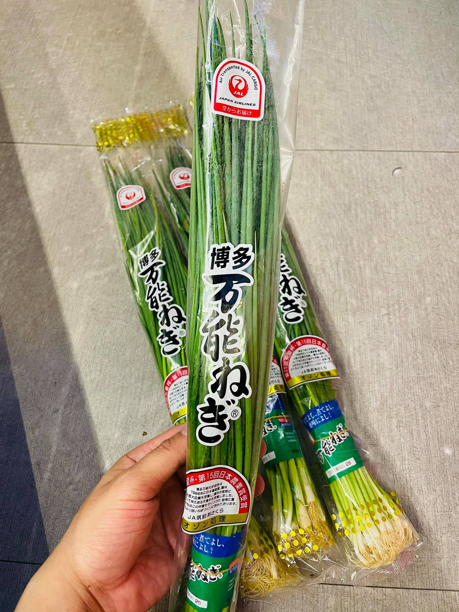 #博多萬能蔥 新鮮空運到貨 #日本福岡縣產 😋😋😋😋😋😋 曾經榮獲第15回日本農業賞 出產於福岡縣朝倉市的細蔥 因為有著蔥的香氣但比較不那麼辣 ...