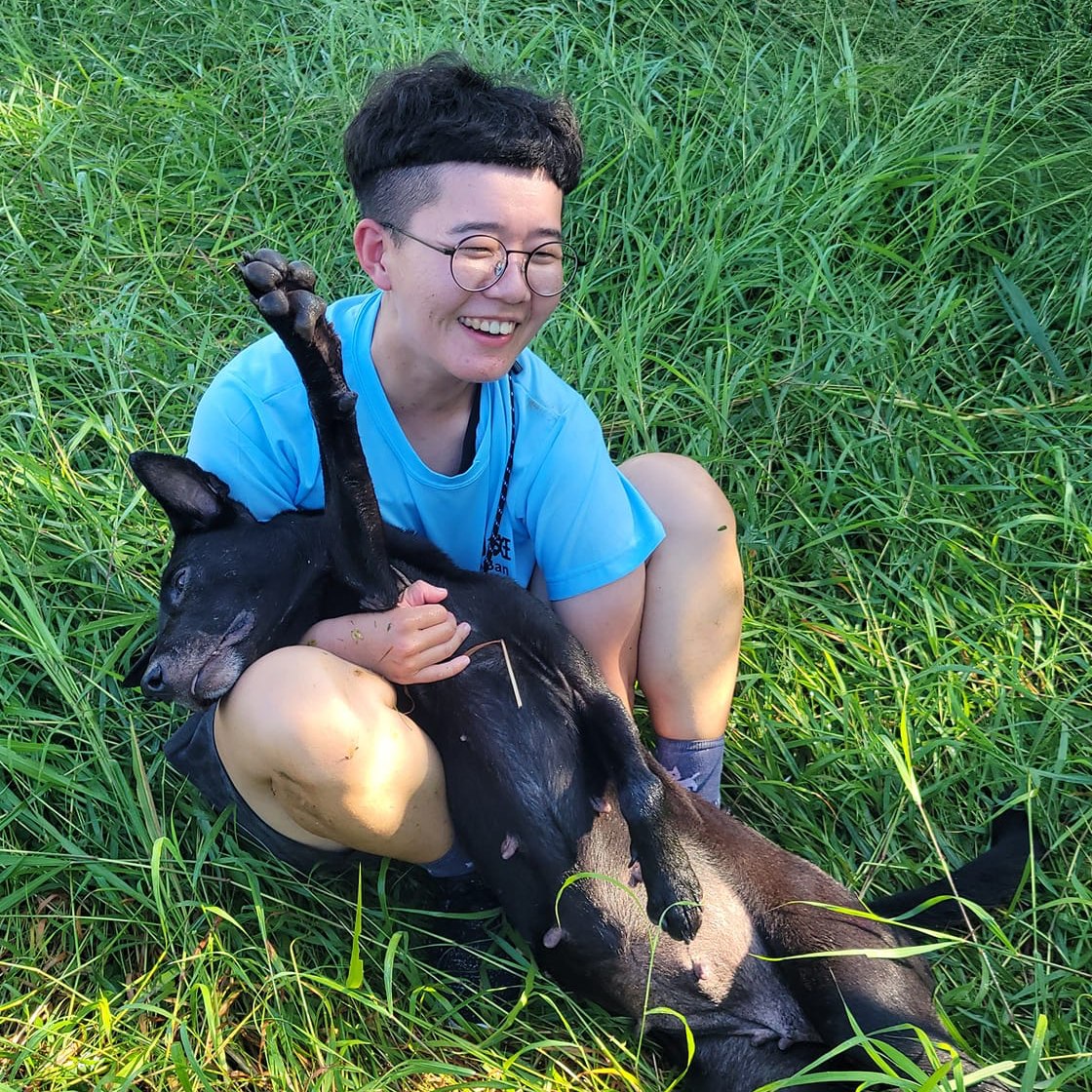 在美麗的島嶼上 因為失控的繁殖而蒙上了一層陰影 居民大多對狗狗友善... - 齁斑科技社會企業 HoBan Tech | Facebook