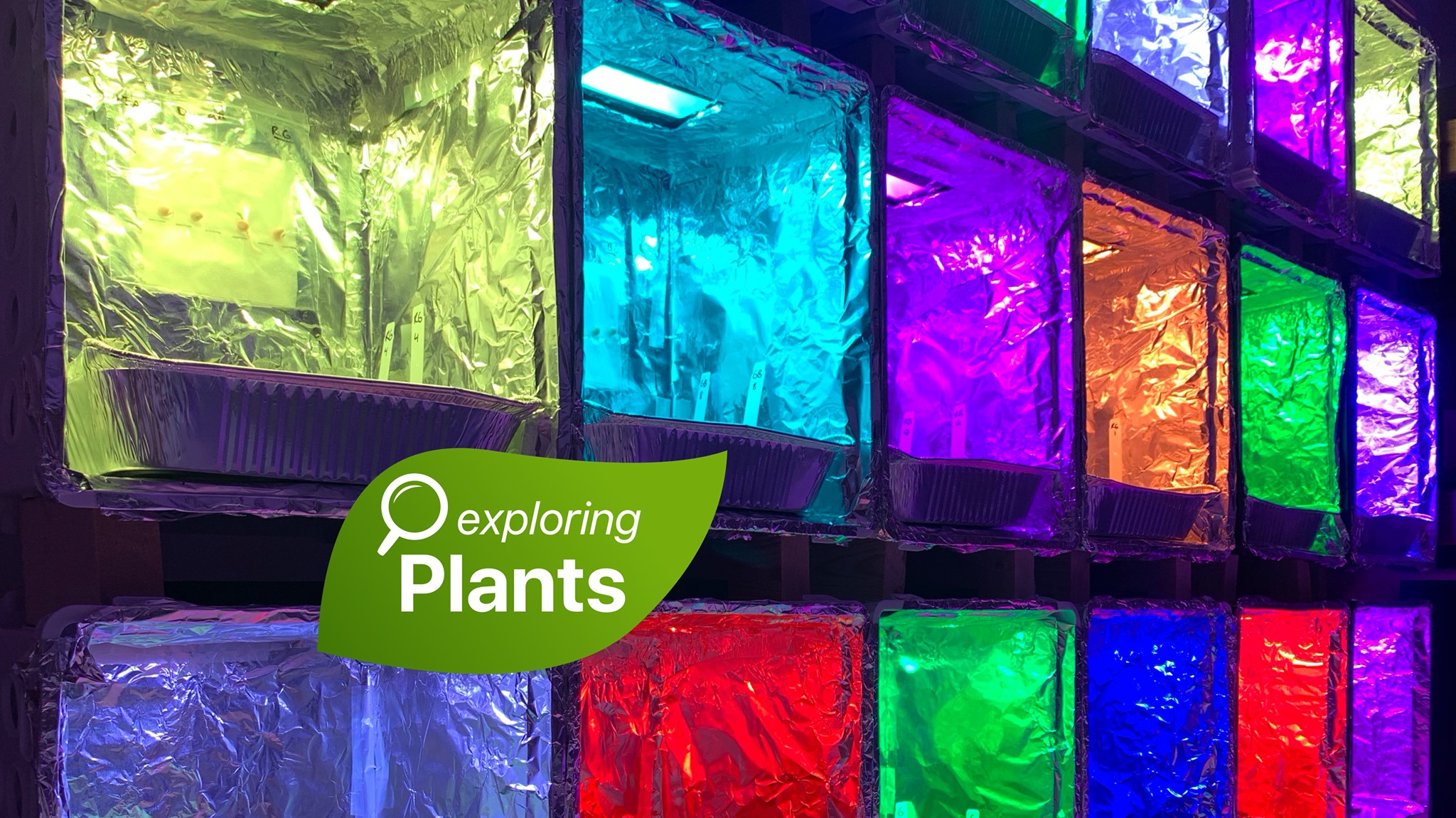 The Plant Story - The Plant Story added a new photo — at...