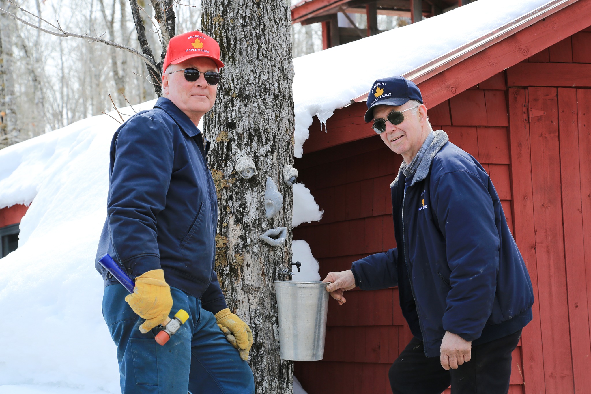 This is Maine Maple Syrup... - Aroostook County Tourism | Facebook