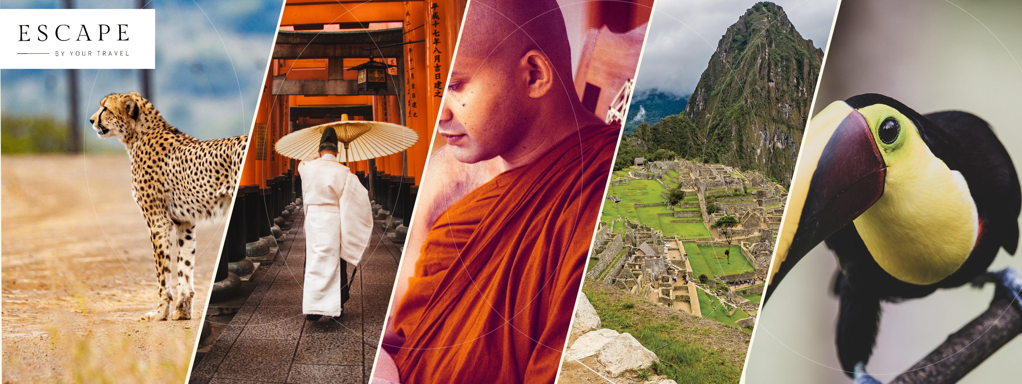 Ratere - 🌍 Quels pays figurent sur votre liste de rêves à... | Facebook