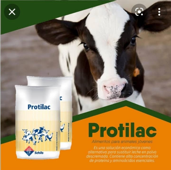 Sustituto lácteo para... - Soluciones Agropecuarias Satipo | Facebook