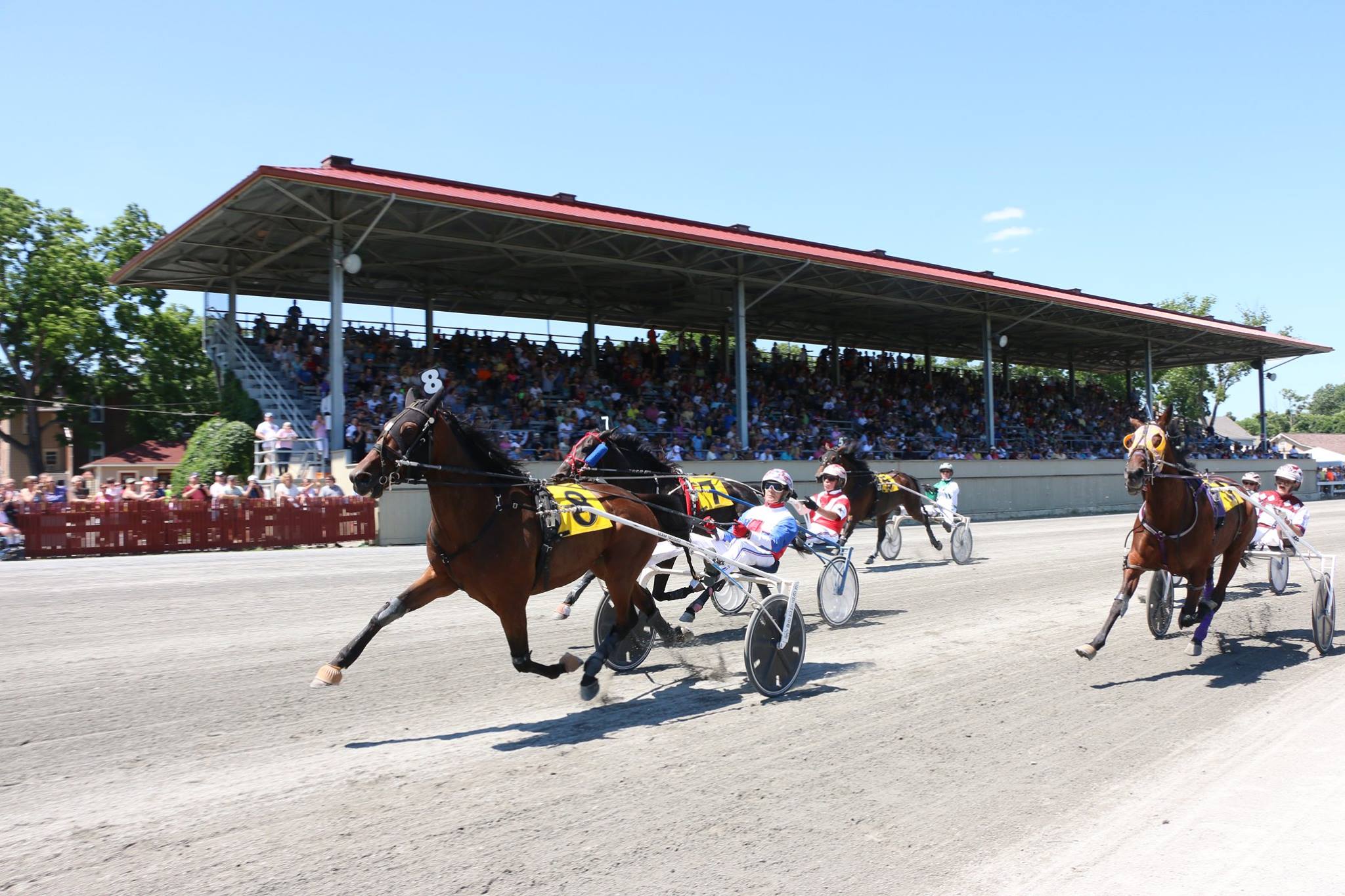 HarnessRacing.com - Who should represent US? The World Trotting ...