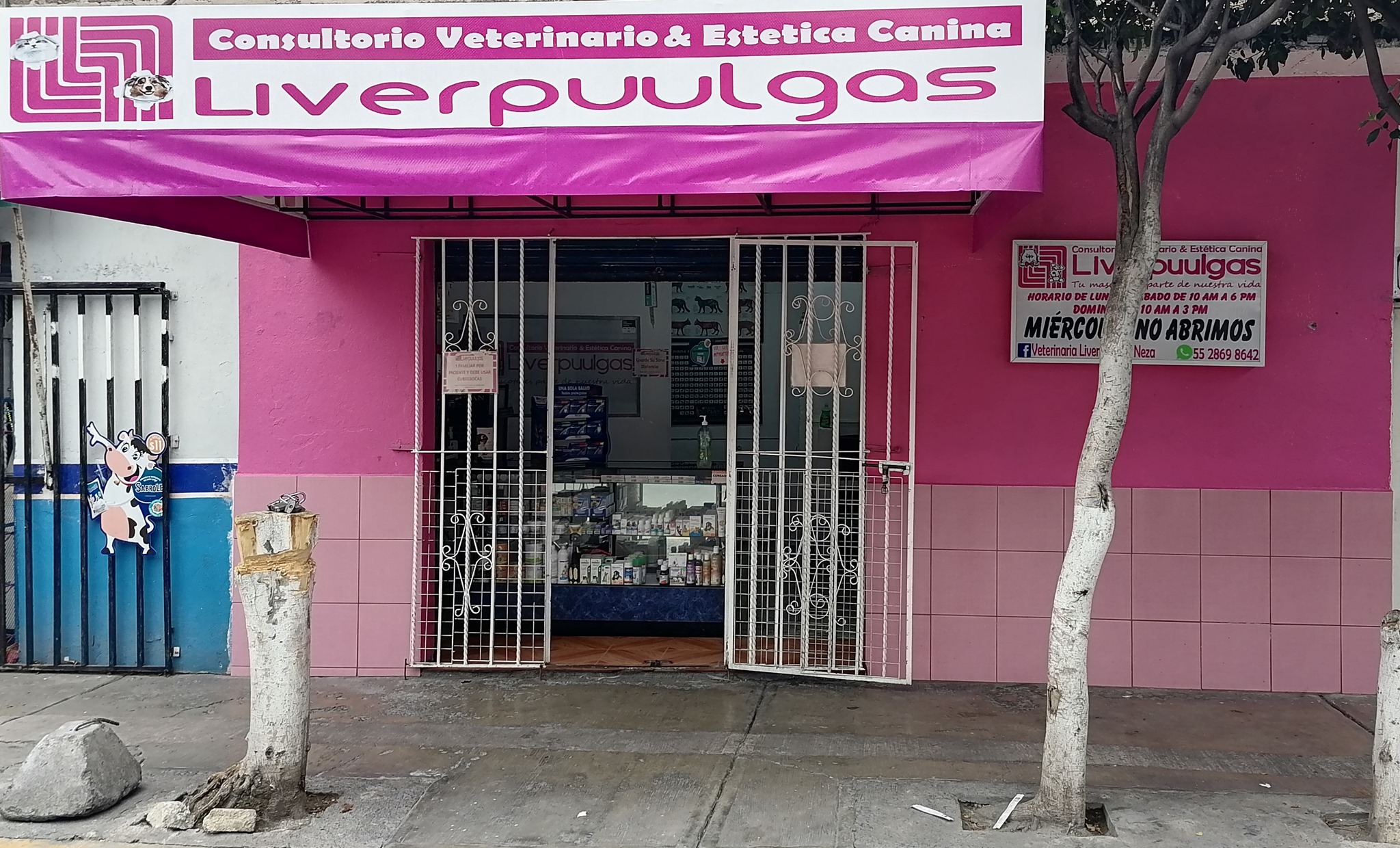 TTEC México - 