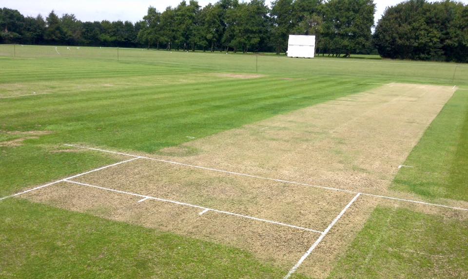 stowmarket-cricket-club