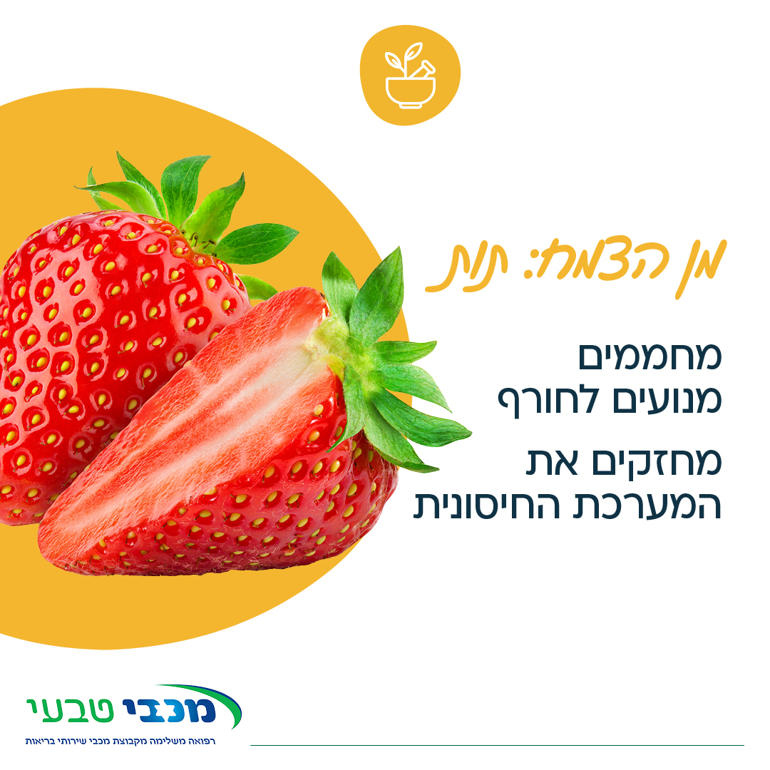 מכבי טבעי - קבלו את מלך פירות החורף: התות! 🍓 ידעתם כי על...