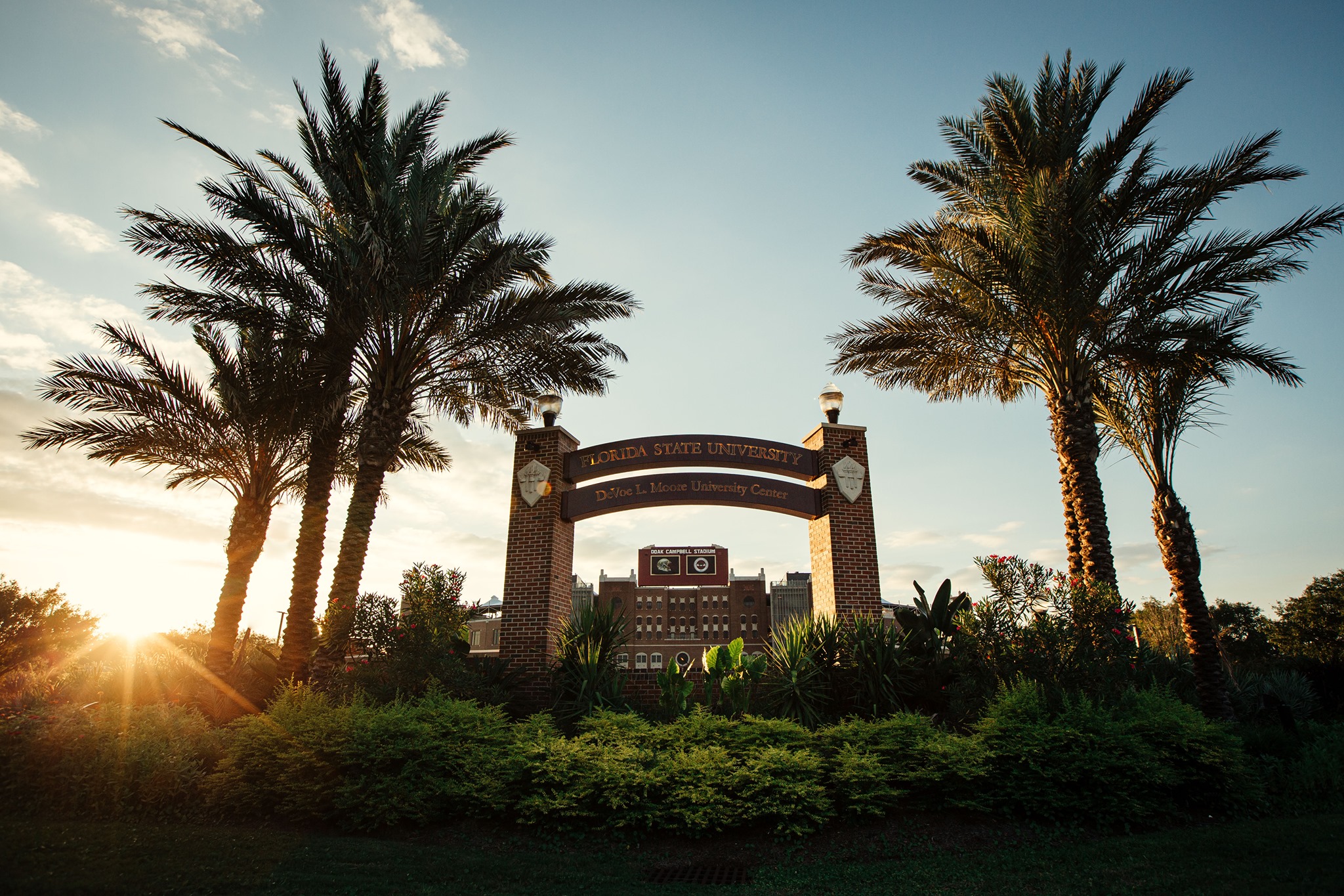 FSView & Florida Flambeau | Tallahassee FL