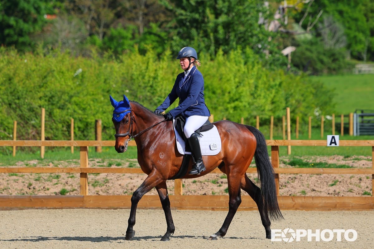🌟 Rehoming Success Story:... - Equestrian R Infinity Limited | Facebook