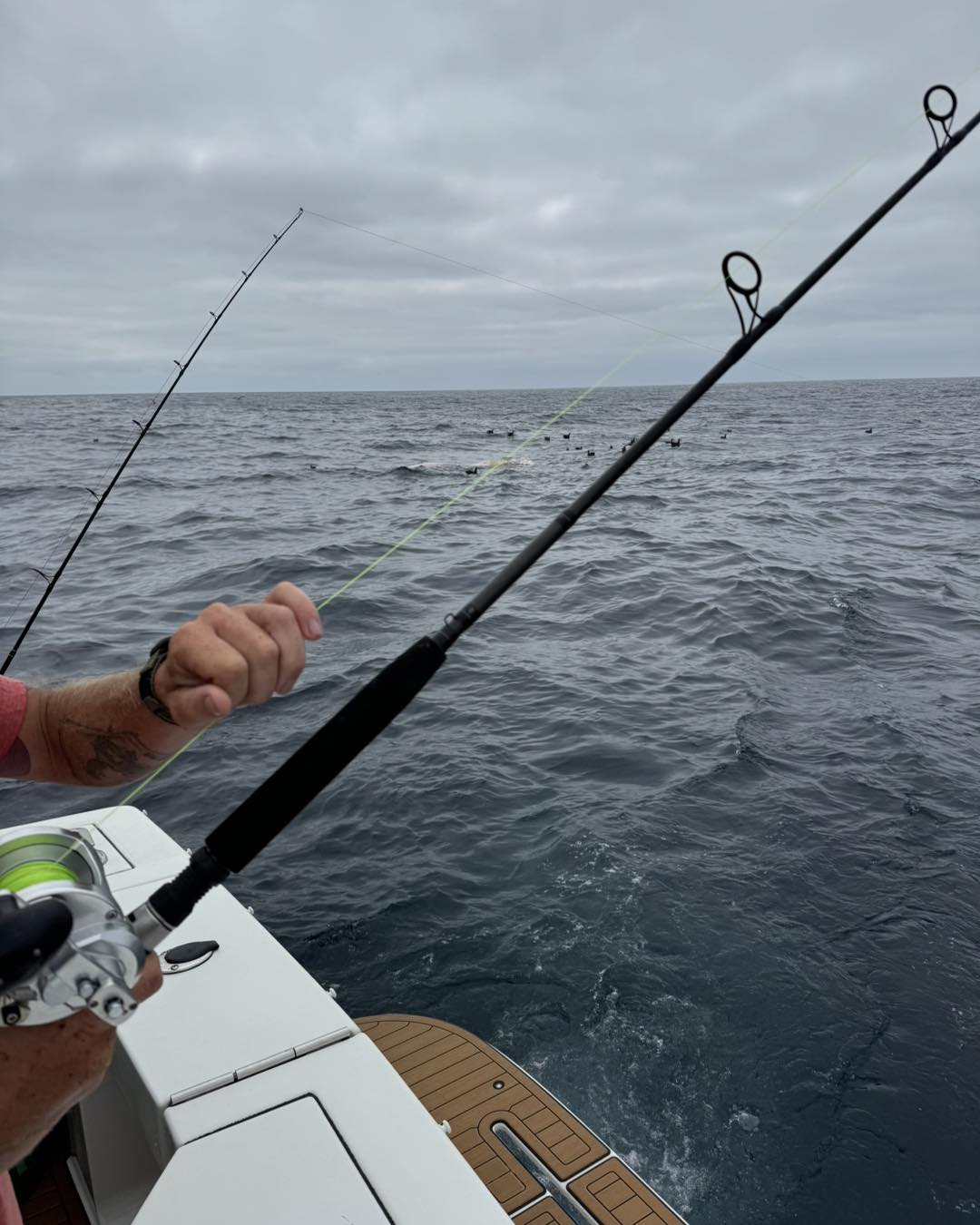 Reel Therapy Sportfishing | Garibaldi OR