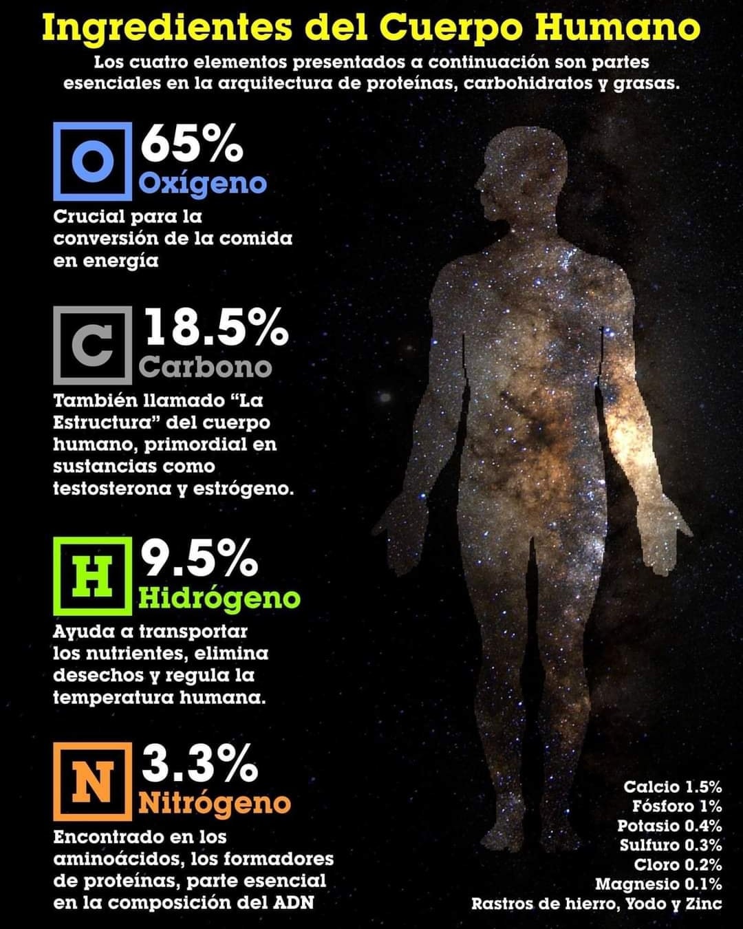 Despierta - Elementos químicos en el cuerpo humano Casi el 99% de la ...