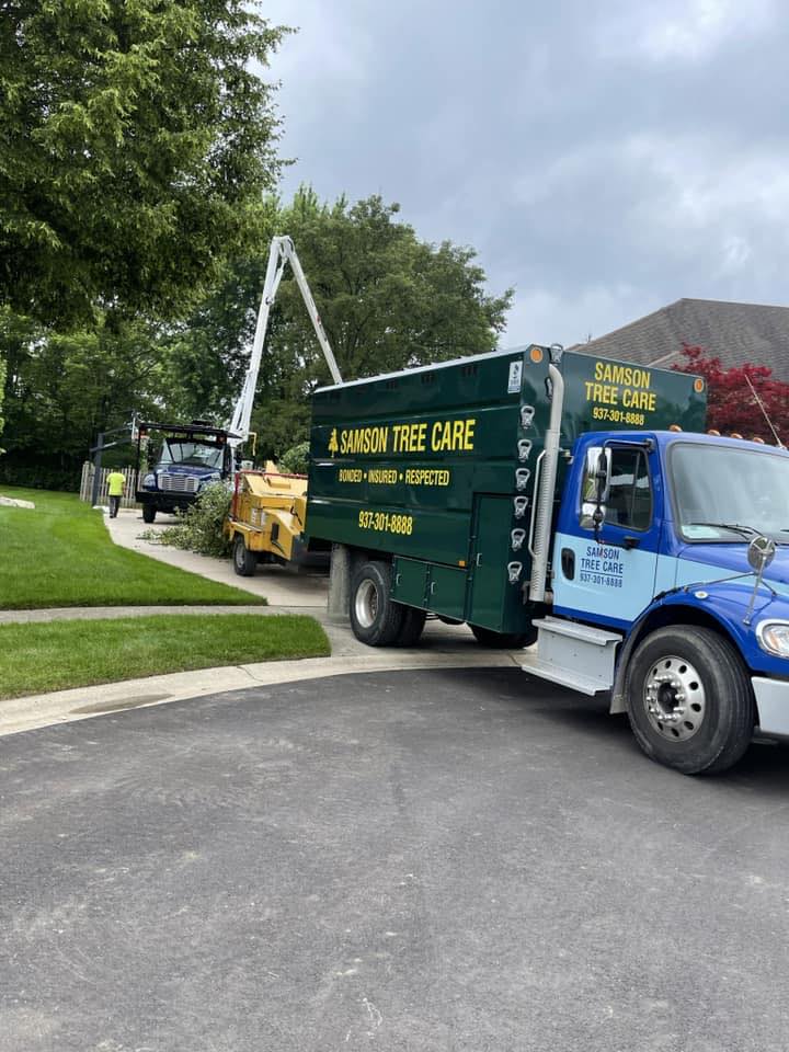 Samson Tree Care | Beavercreek OH