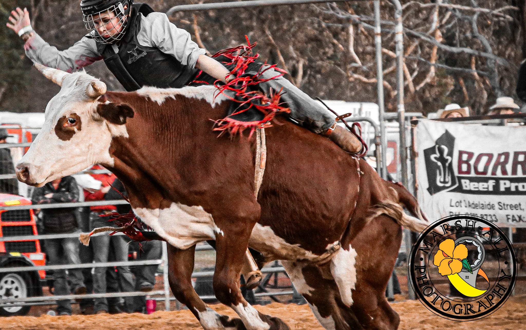 Everything Rodeo Western Australia | Facebook