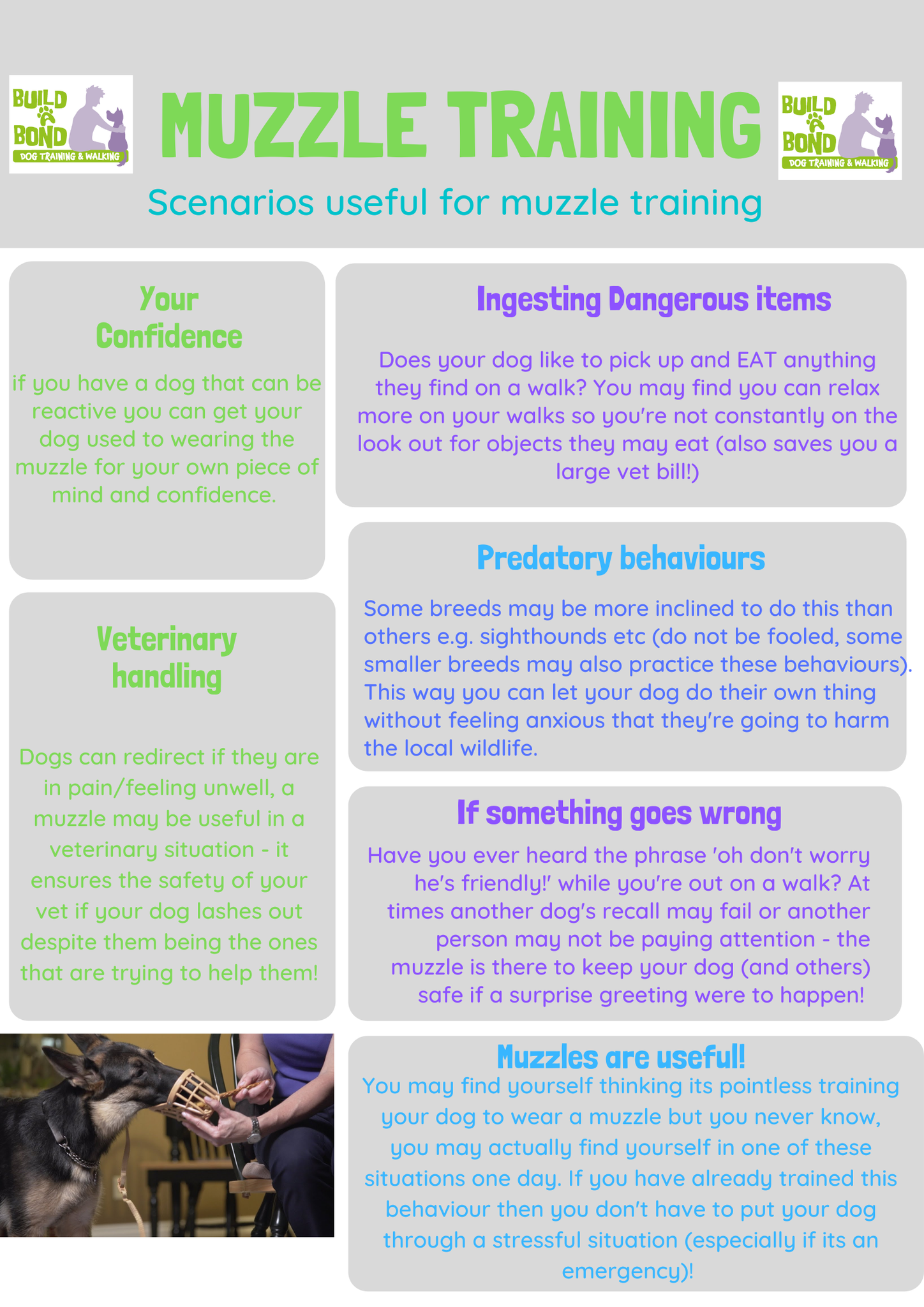 Build A Bond Dog Training and Walking - Dog Tip Tuesday ... Muzzles are ...