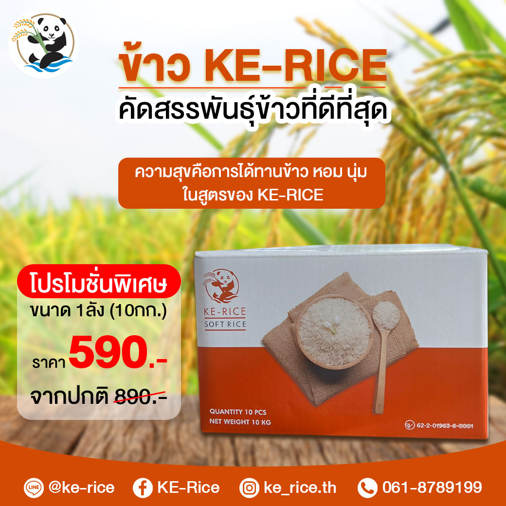 KE-Rice