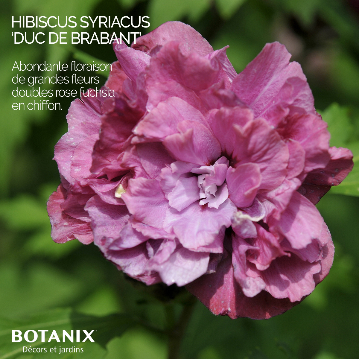 Botanix - Botanix added a new photo.