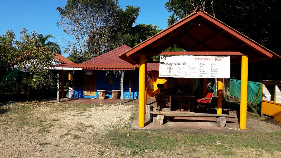 The Monkey Shack | Torio