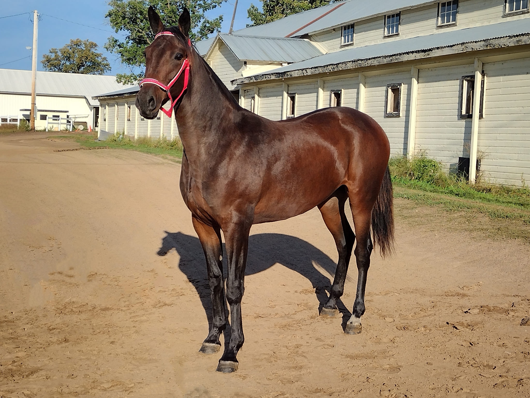 QKS Racing - The dream is most alive when there are babies... | Facebook
