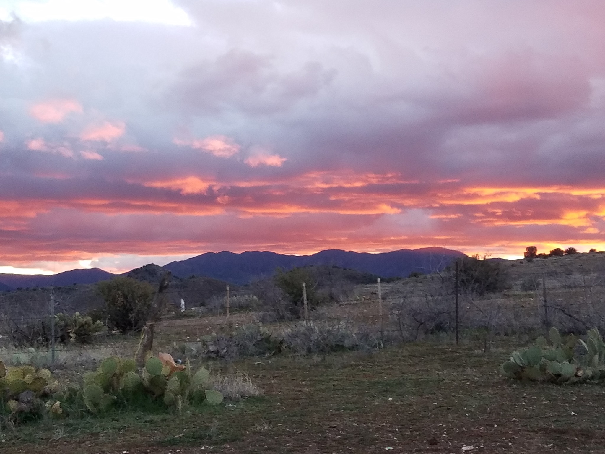 Foothills Ranch | Mayer AZ