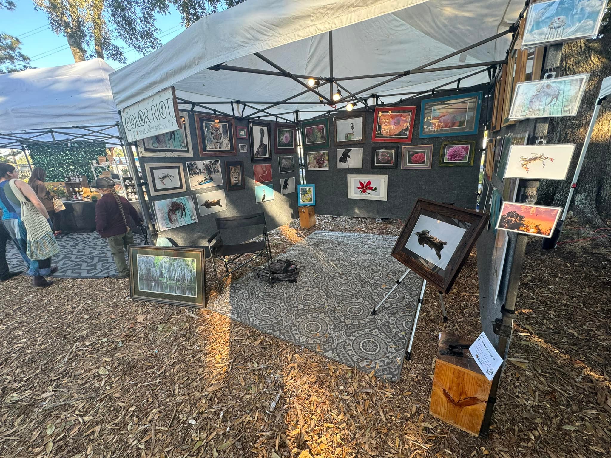 Color Riot Photography & Art