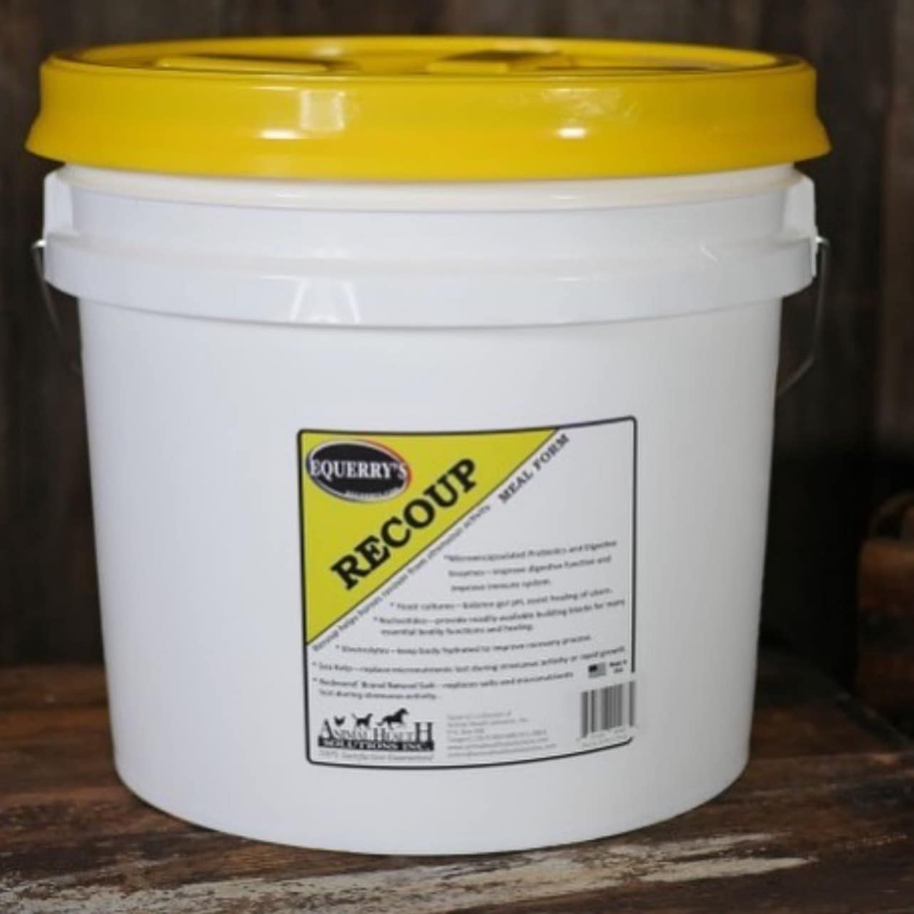 Animal Health Solutions and Equerry's - After an intense show or ...