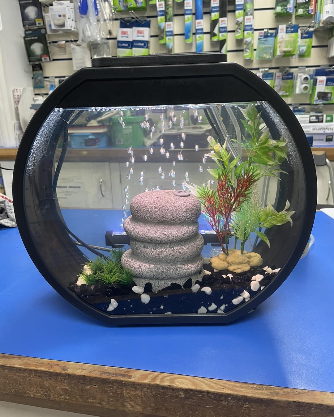 dobbies fish tank accessories onesimcr Floating Decorations, Aquarium Decorations, Lovely Diver Fish Tank Decorations, Floating Device Fish Tank AccessoriesSuitable for All Kinds of Fish Tanks : Pet Supplies Aqua Cultures Gassy Diver Aquarium Bubbling Ornament creates a whimsical presentation in tanks of any size and is sure to be a conversation piece with its unique Aquarium Decor: Choosing Fish Tank