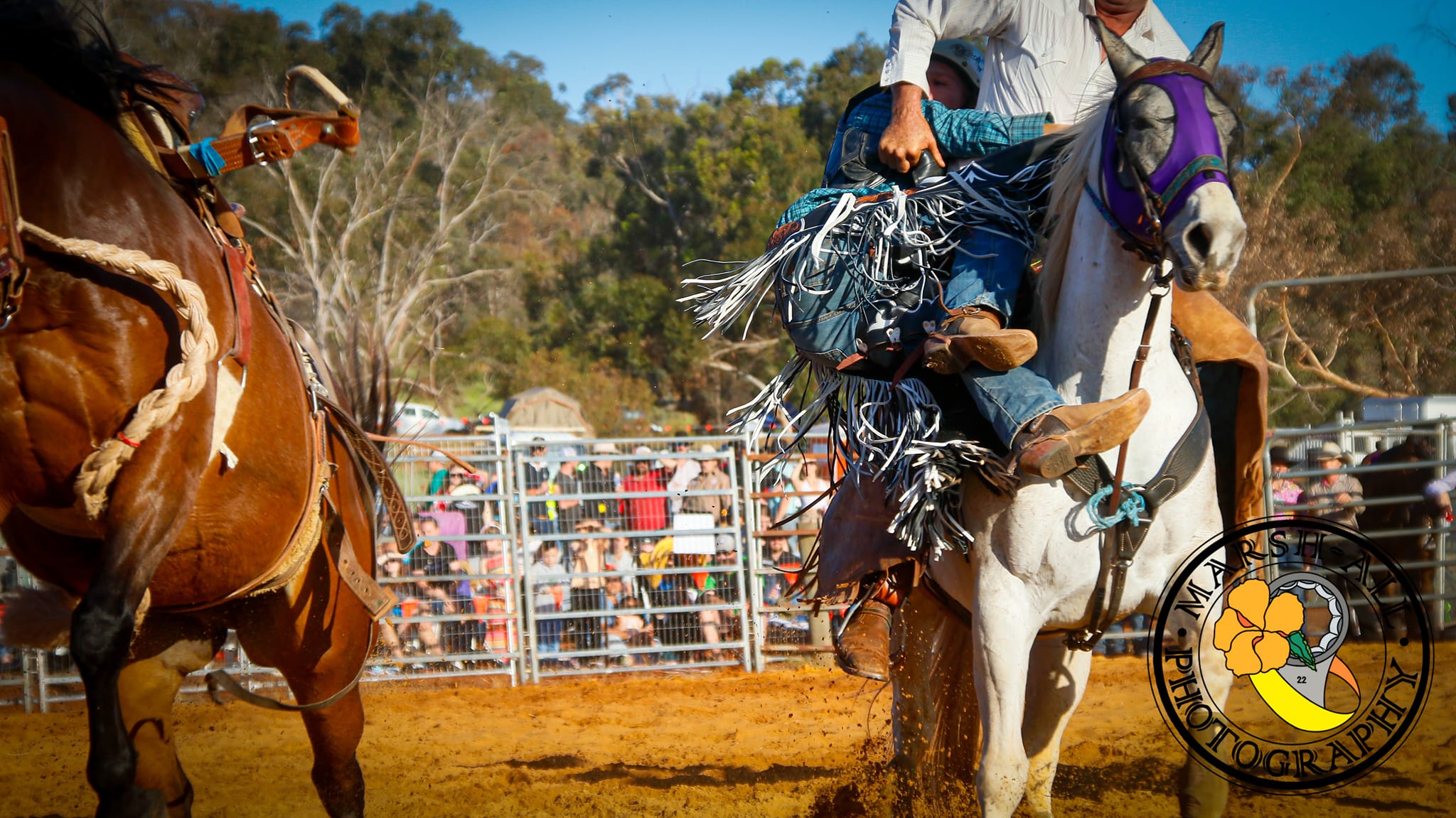 Everything Rodeo Western Australia | Facebook