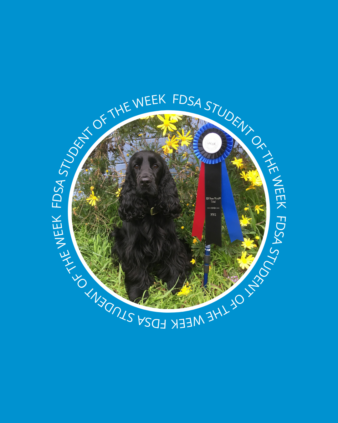 Congratulations Rey who earned... - Fenzi Dog Sports Academy | Facebook