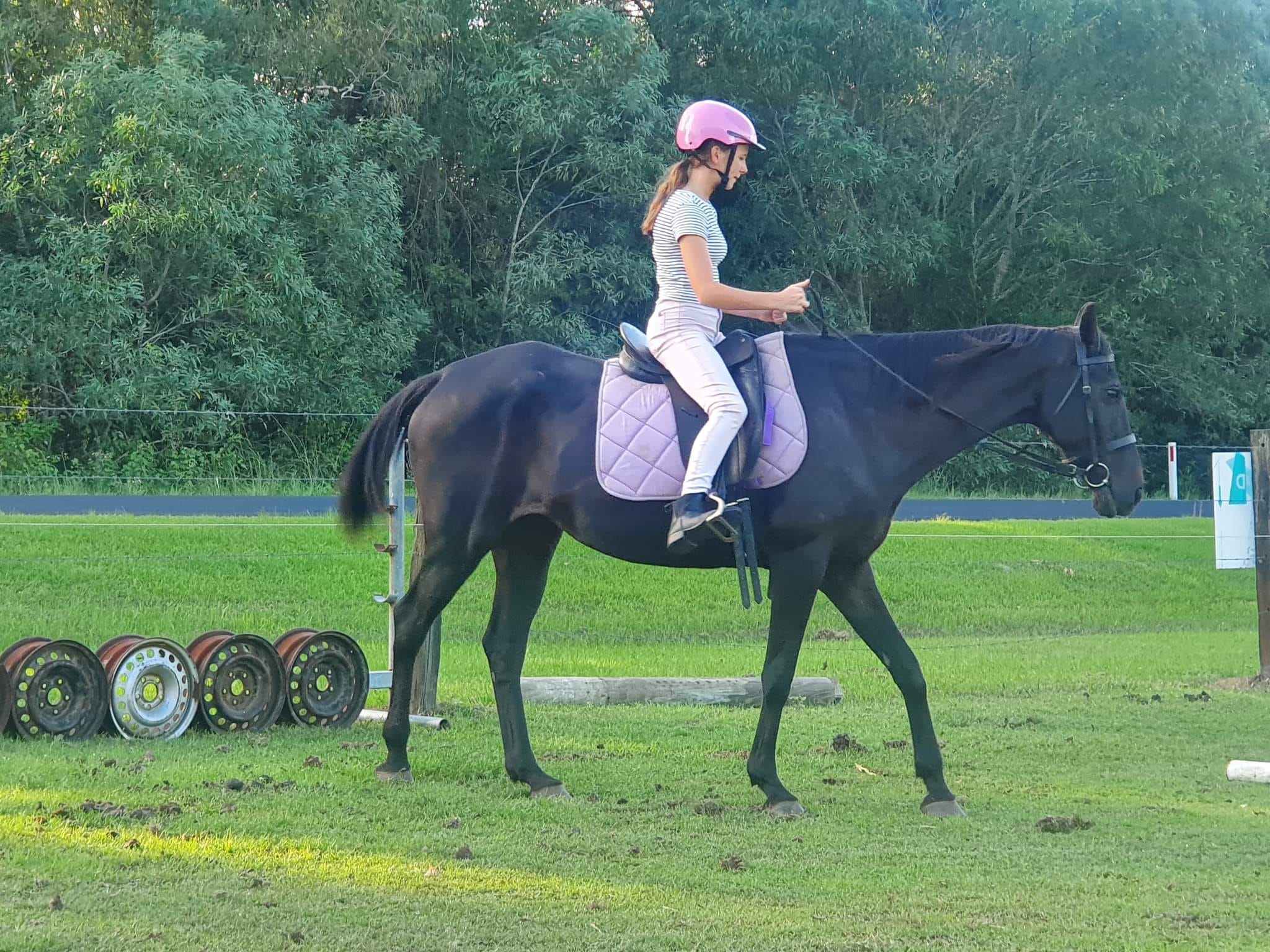 Little Ranch Horse... - Little Ranch Horse Riding Lessons