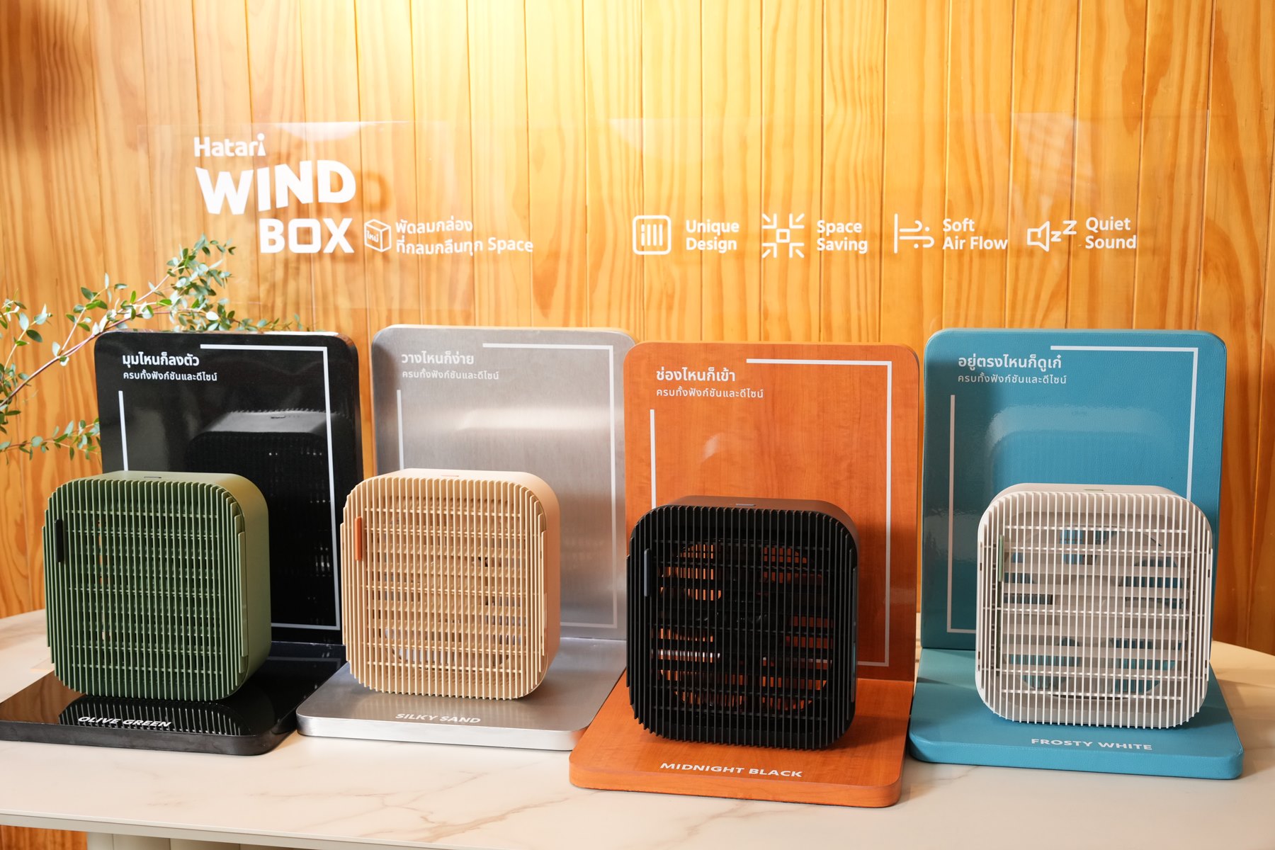 Dayself - 🪭ฮาตาริเปิดตัว “WindBox”... | Facebook