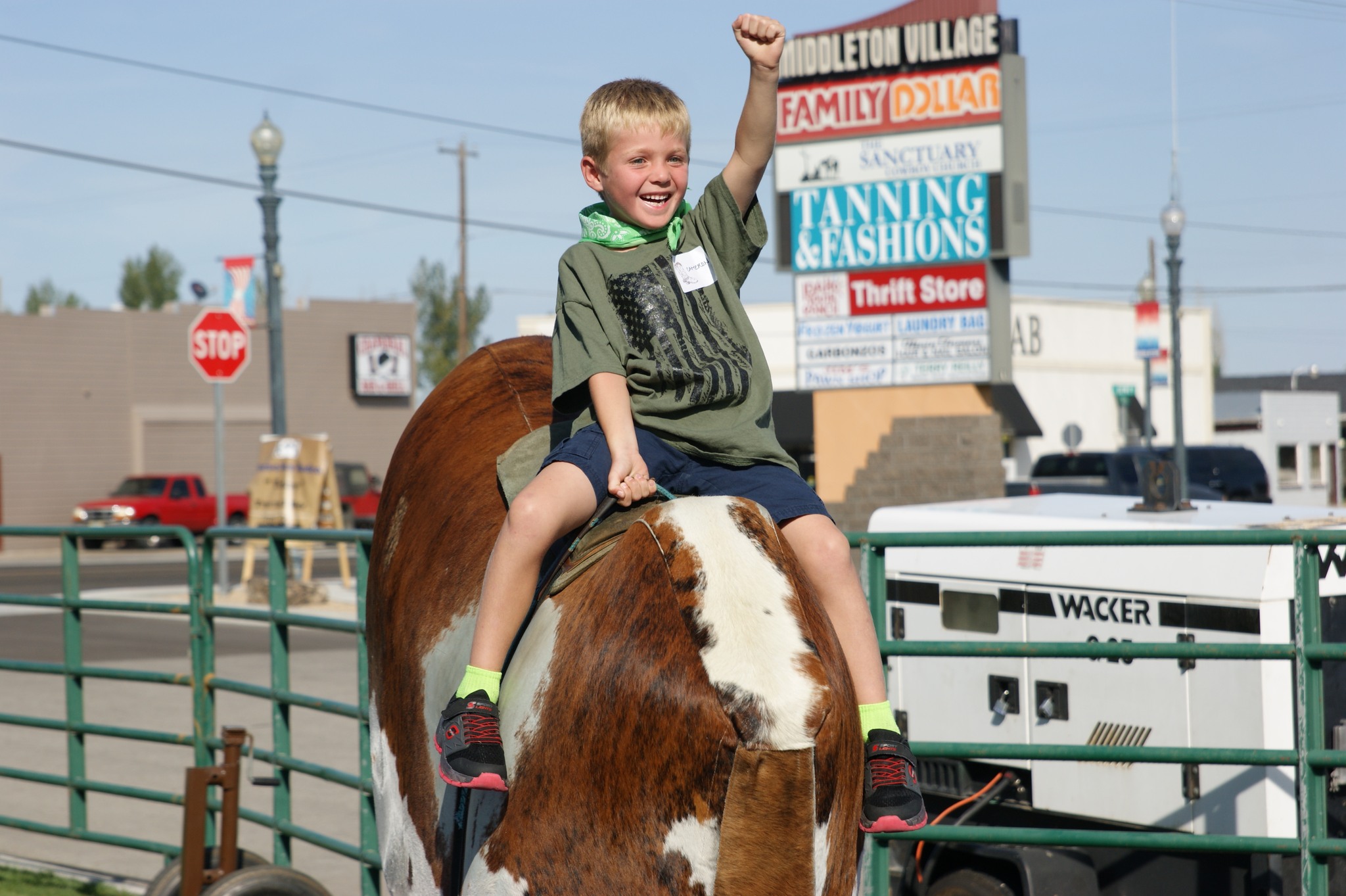 Horseless Rodeo