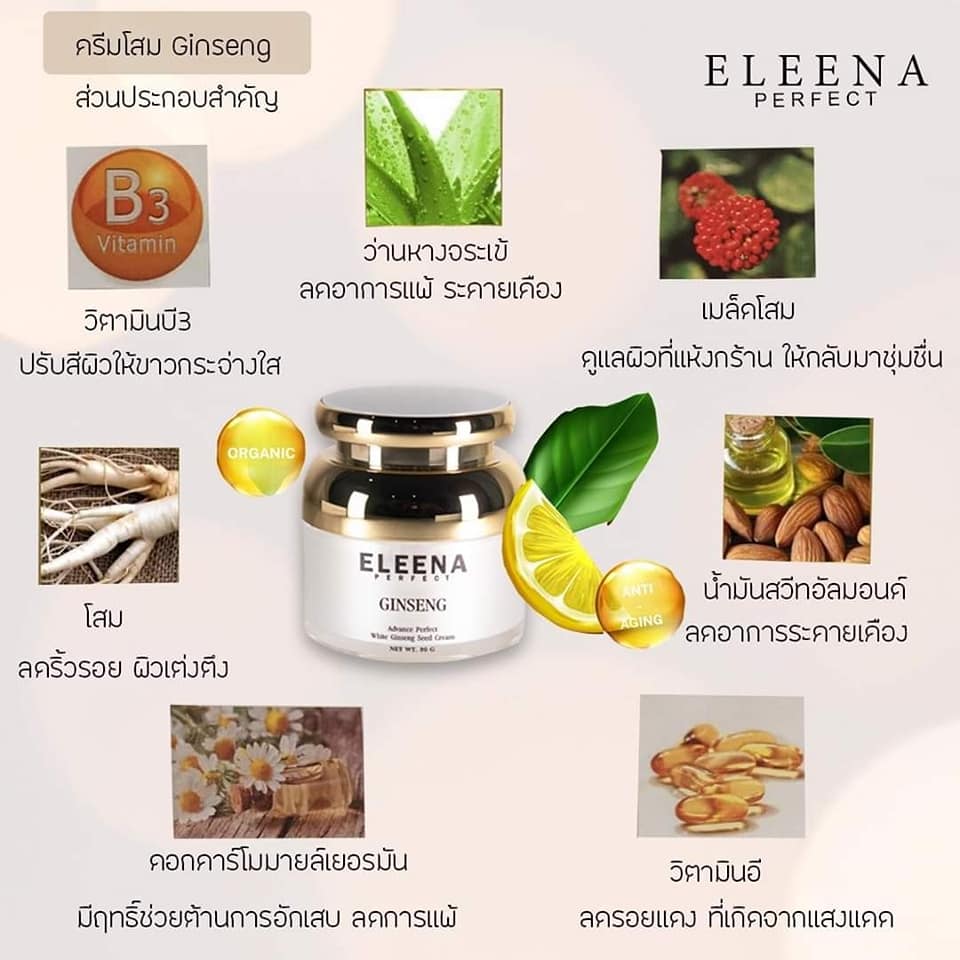 Eleena Perfect.co.th