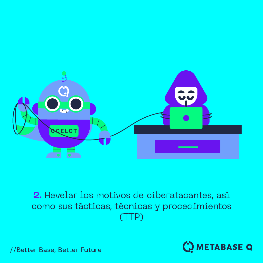 Metabase Q - En Metabase Q, nuestro equipo de Ocelot...