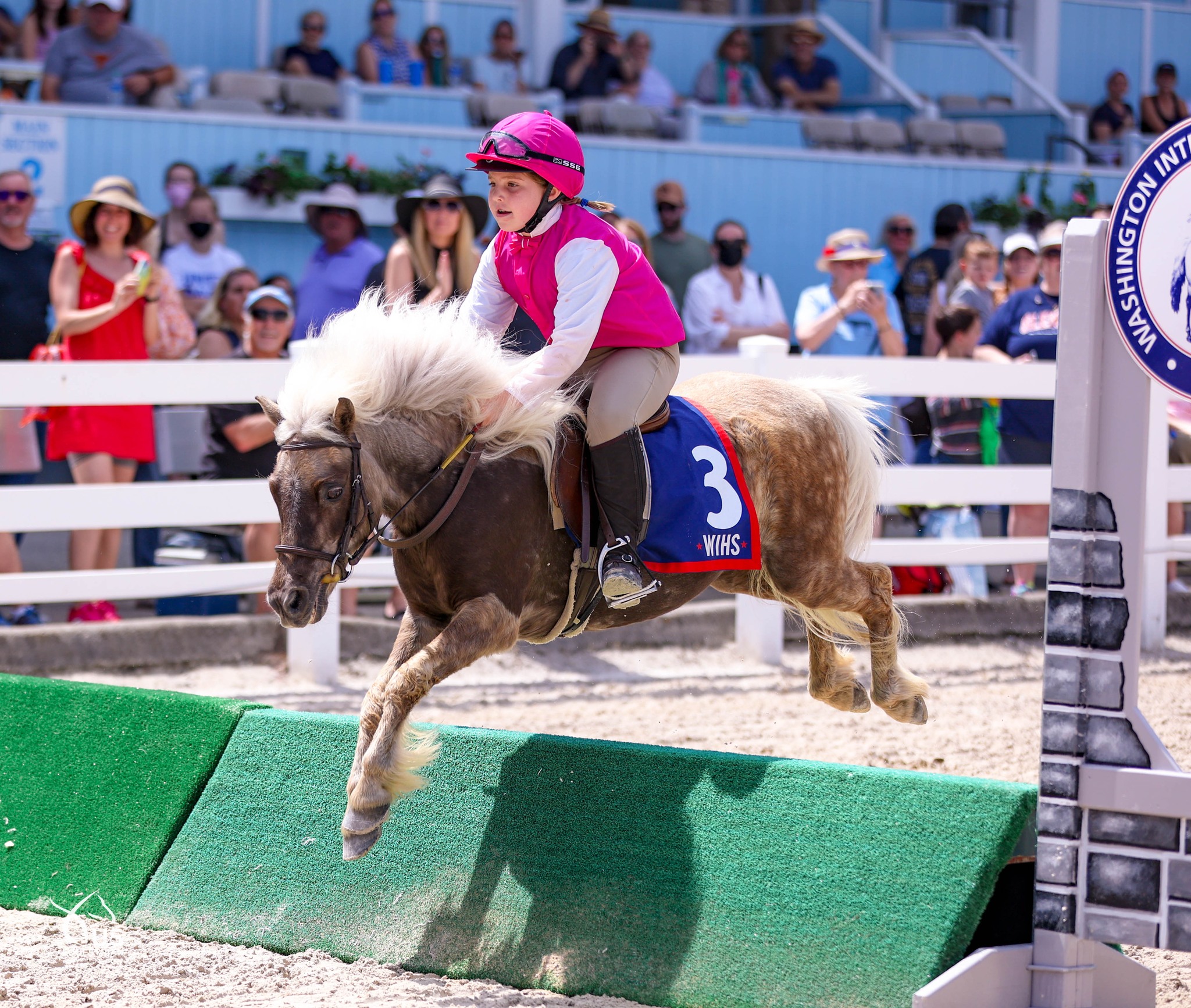 Shetland Pony Racing