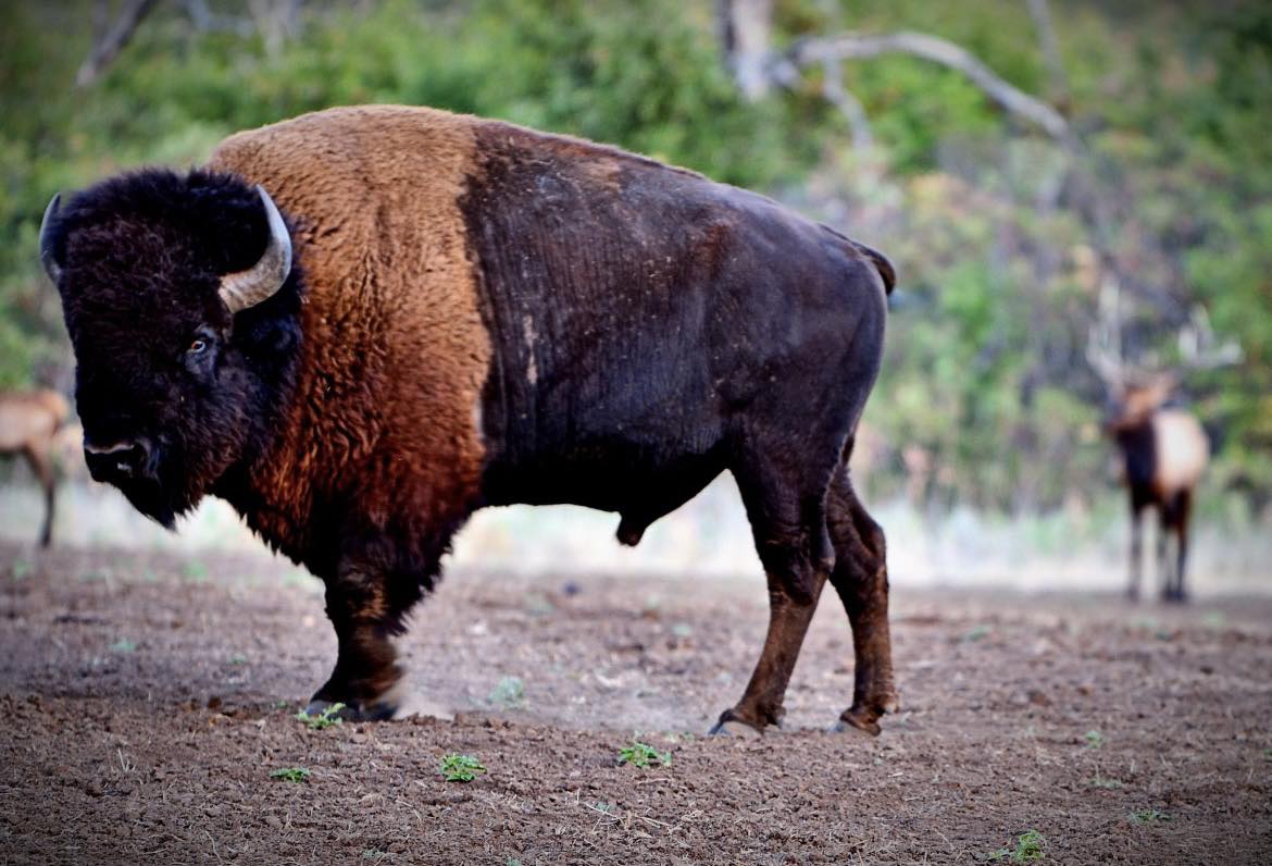 Tarbone Ranch | Lawton OK