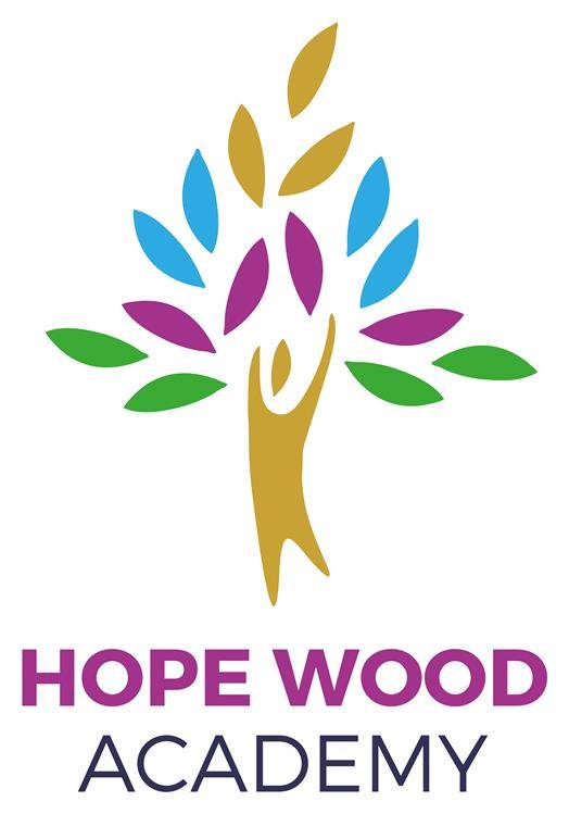 Hope Wood Academy