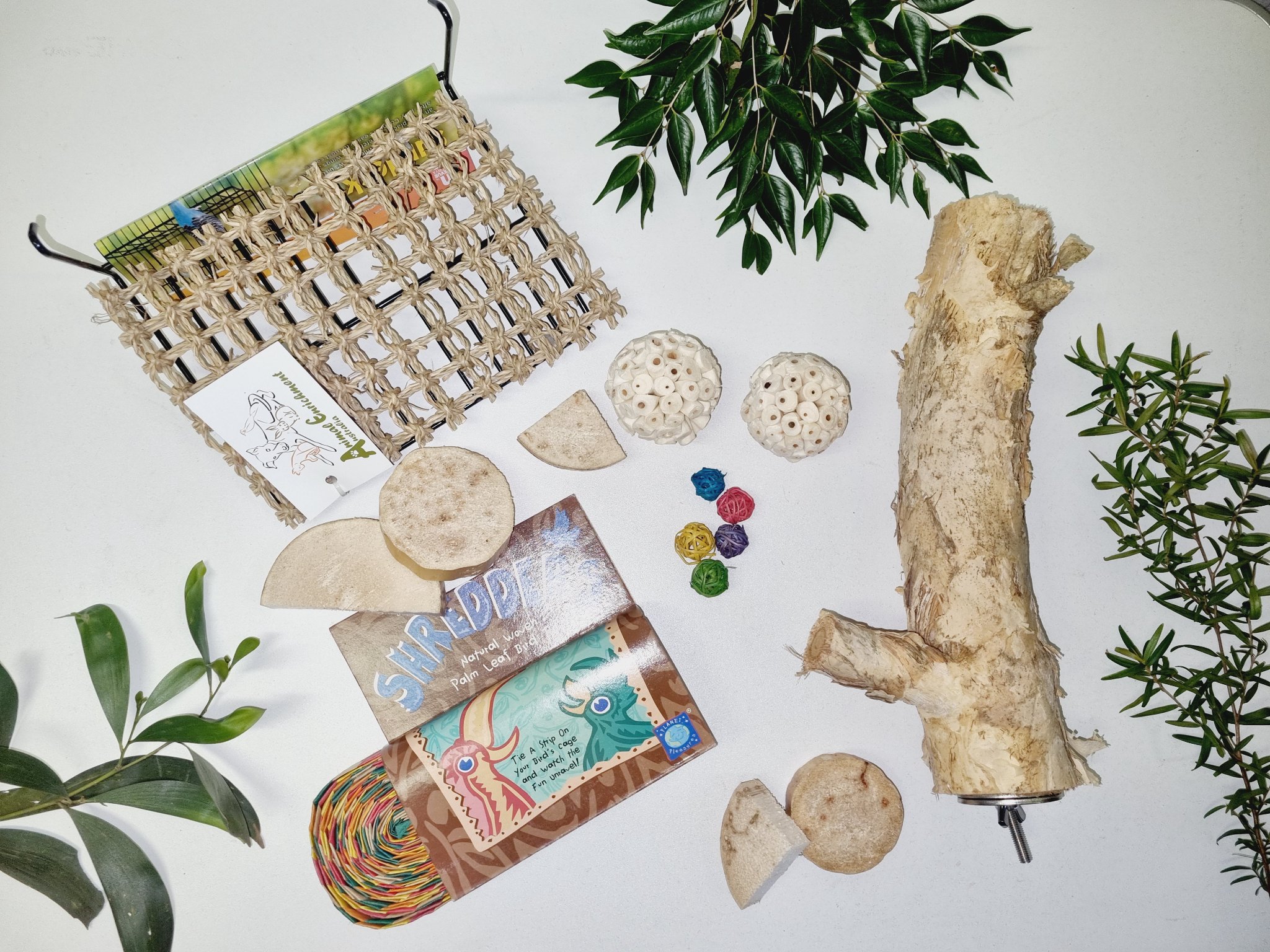 A sneak peak of the natural... - Animal Enrichment Australia | Facebook