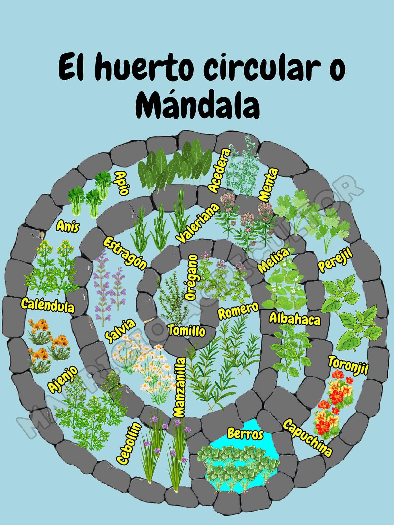 Ética - Un huerto circular o Mándala es un diseño de jardín que busca ...