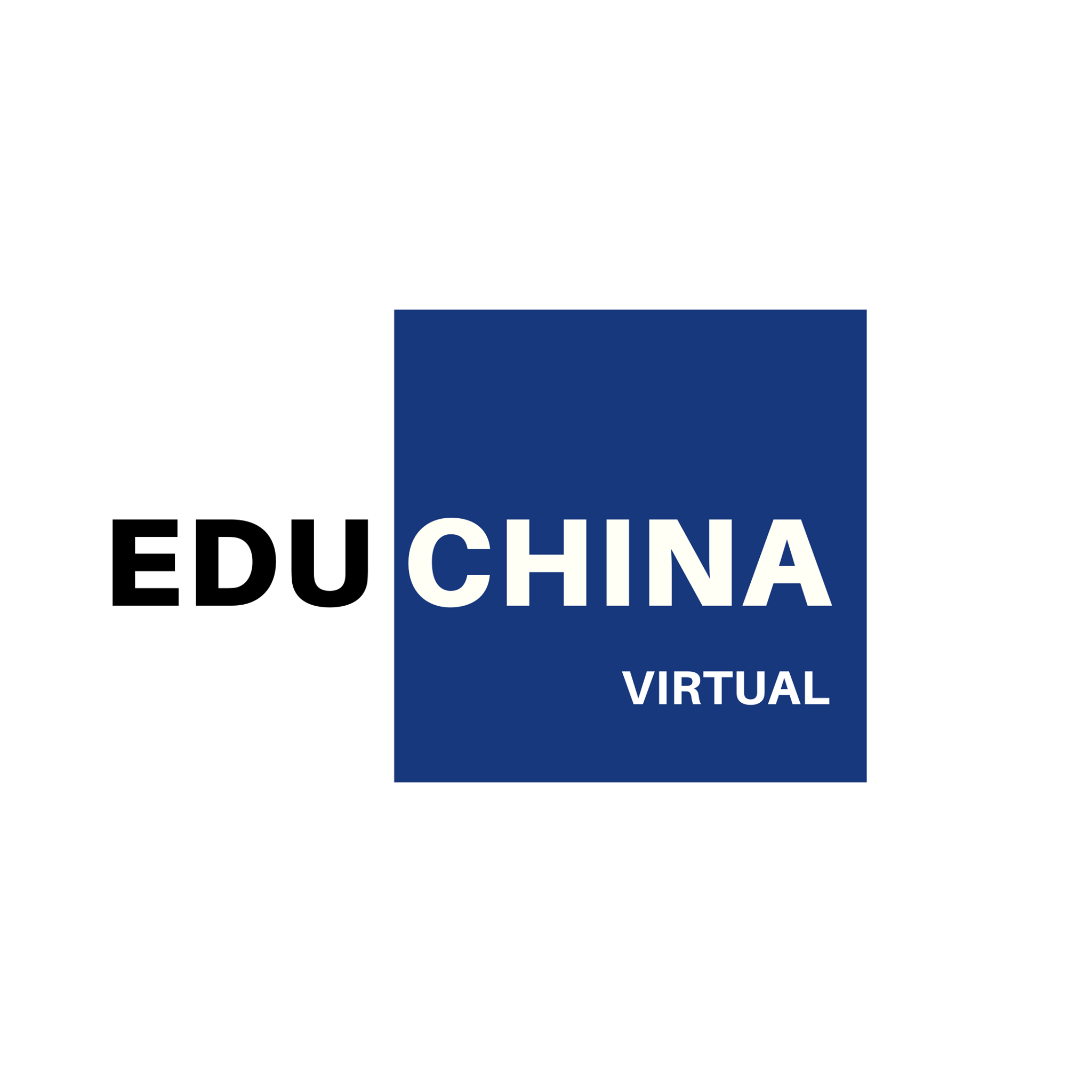 Education China Virtual