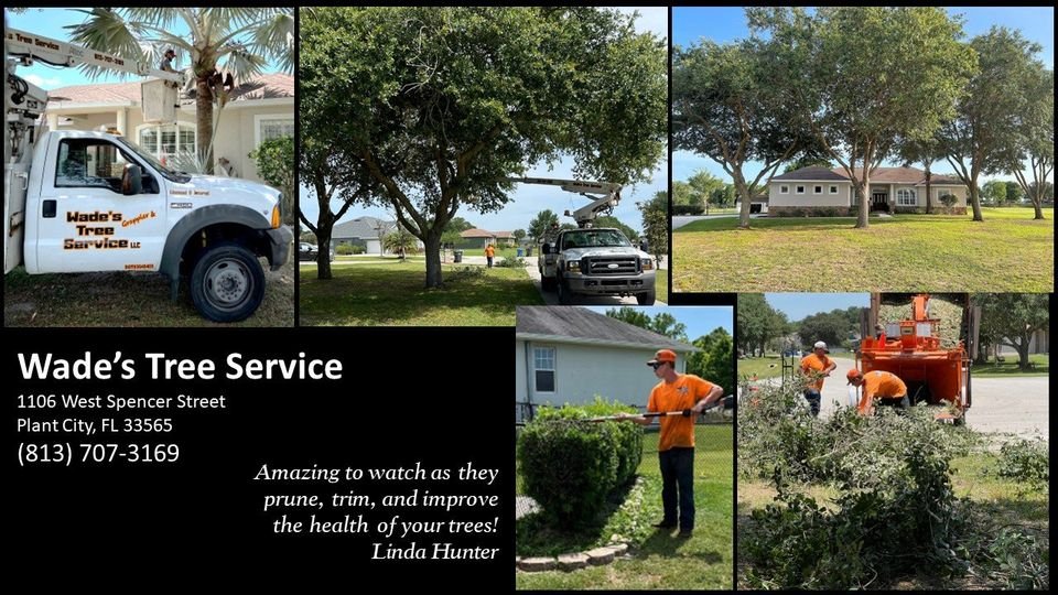 Wade's tree Service | Plant City FL