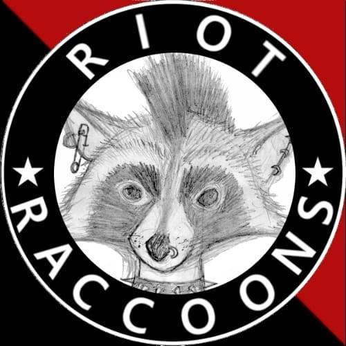Riot Raccoons