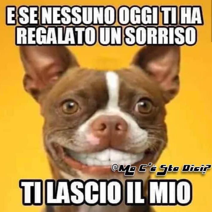 Non c’è nulla da ridere added a... - Non c’è nulla da ridere