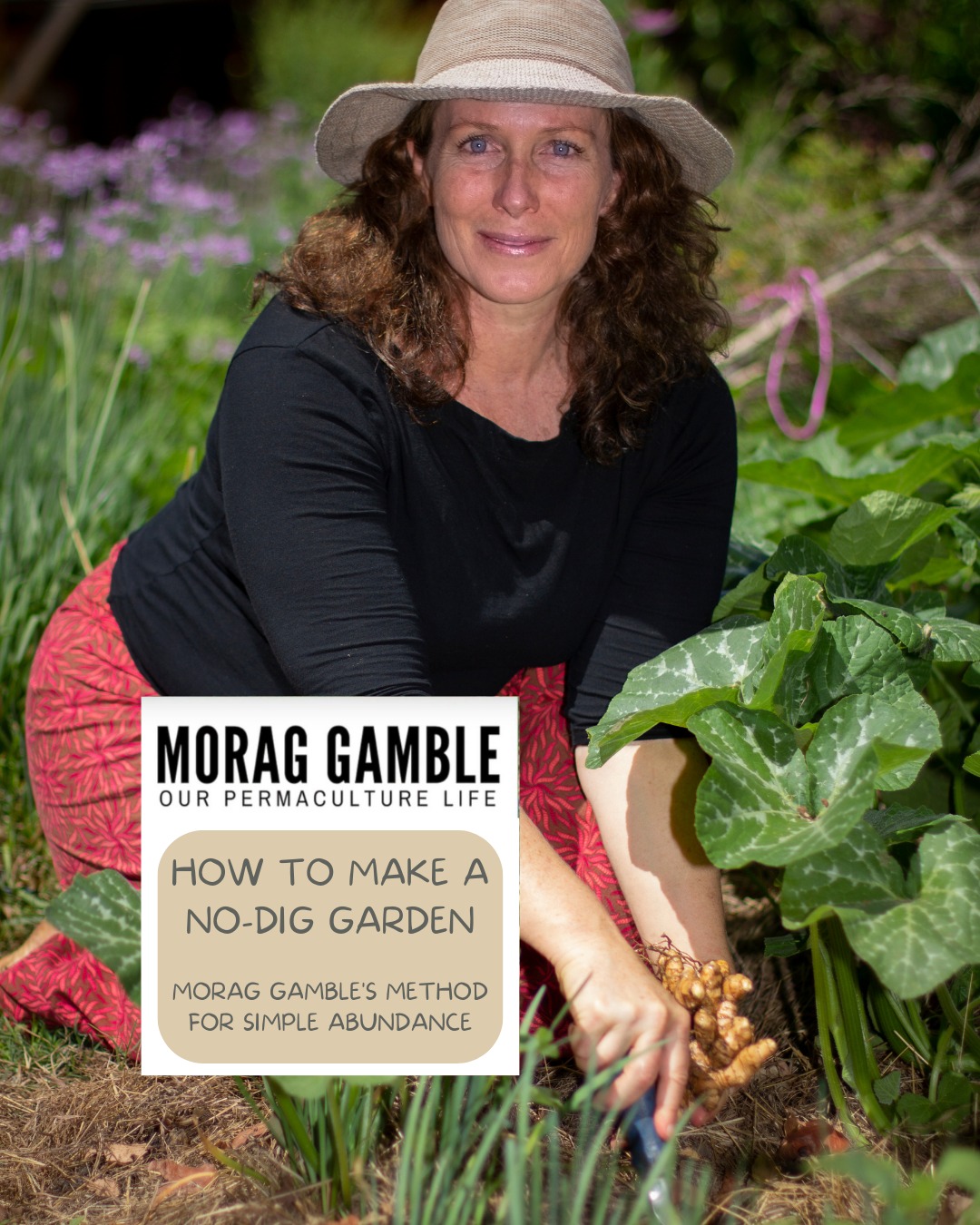 Our Permaculture Life: Morag Gamble - Spring is just around the corner ...