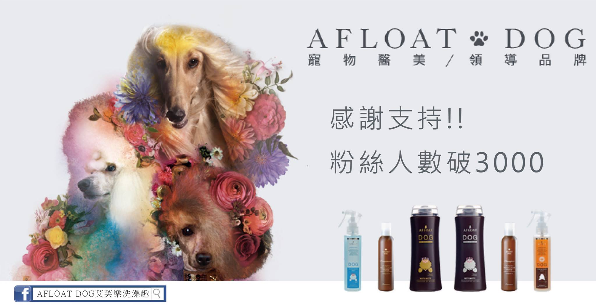艾芙樂 afpet TW - 謝謝大家的支持🙇‍♀ 粉絲人數成長到3000了 雖然成長的腳步🐾不是那麼的快...