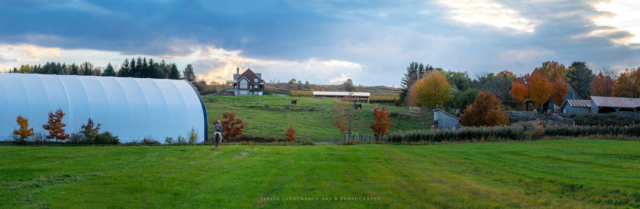 First Farms Canadian Horses / Les Premières Fermes Chevaux Canadiens ...